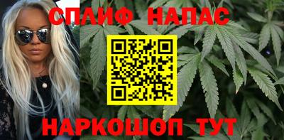 mdpv Краснознаменск