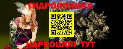 mdpv Краснознаменск