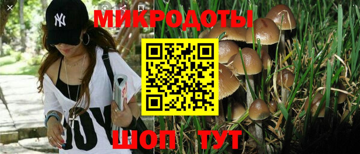 Псилоцибиновые грибы Magic Shrooms  Псилоцибиновые грибы Magic Shrooms  Вход с VPN  Коряжма 